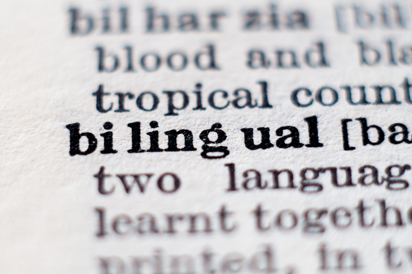 palavra bilingue em destaque em um texto