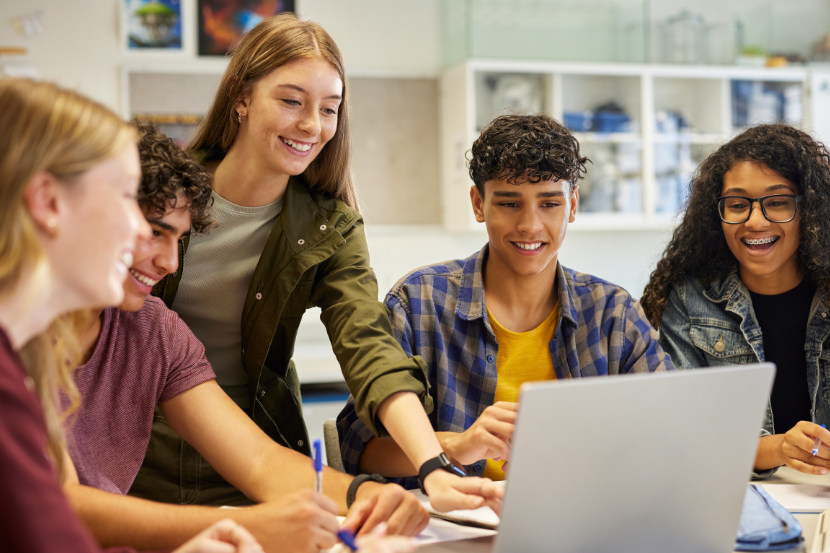 sistemas de ensino que mais aprovam alunos estudando juntos no computador