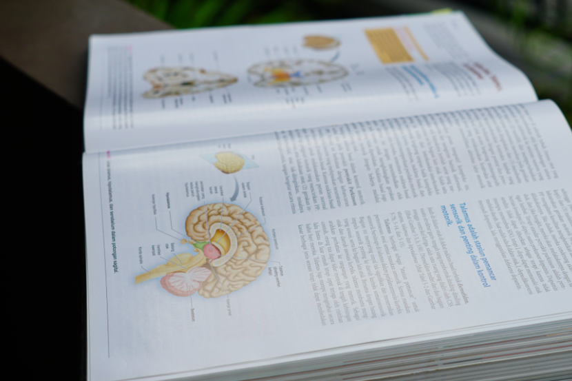 exemplo de material escolar didático 